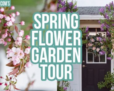 Spring Flower Garden Tour | Zone 3 Gardening