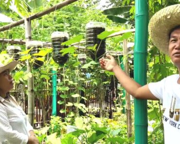 SUGBUsog sa TES||Amazing Vegetable Garden Ideas Using Indigenous and Recycled Materials @Bai J Vlog