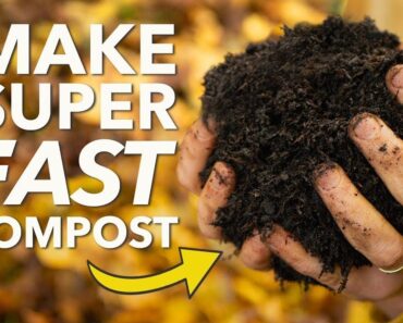 How To Make Compost – Fast and Easy