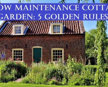 5 Golden Rules to Create a Low Maintenance Cottage Flower Garden