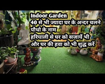 Indoor Garden Tour || घर के अन्दर चलने वाले पौधे और उनके नाम ||Indoor plants in Summer ☀️