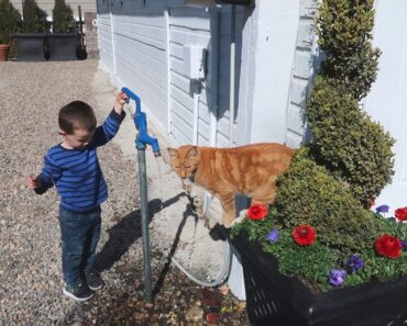 Planting RED Flowers 😳 + Mulching the Cut Flower Garden! ❤️🙌💚// Garden Answer