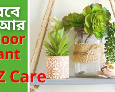 আর মরবে না ইন্ডোর প্ল্যান্ট | Indoor Plants Care TIPs | Low Light Houseplant | RAJ Gardens | 4K