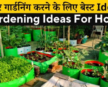 घर पर गार्डनिंग करने के लिए बेस्ट आईडिया! Gardening Ideas For Home | Flower Vegetable & Fruit Garden