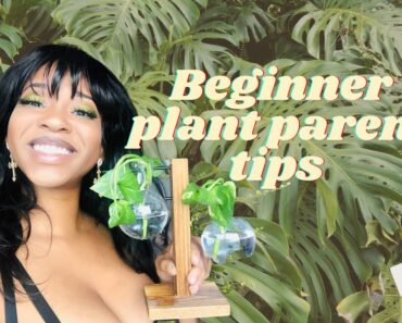 Beginner Plant Parent Tips, and Tricks | Planttok TikTok compilation | Mother Natures Niece