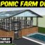 Aquaponics Systems | Integrated fish and vegetable farming | Aquaponic Farming for Beginners