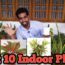 Indoor Plants | Best Top 10 Indoor Plants | Tamil | Best in India | Low light Plants
