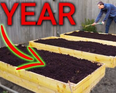 How Much Food Can I Grow in 1 Year?