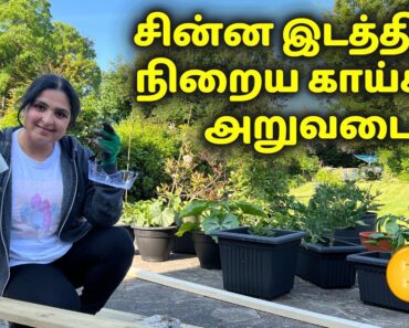 Build Easy Raised Garden Bed / மேட்டுப்பாத்தி செய்ய  Easy Method – Vegetable Gardening ideas #garden