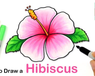 How to Draw a Hibiscus Flower Easy 🌺