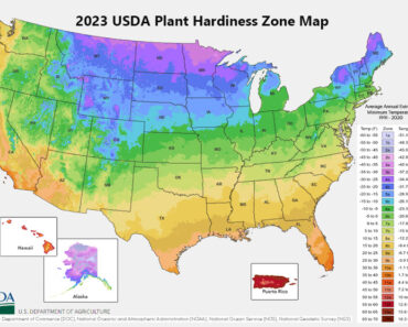 Latest USDA Garden Zone Map: What It Means for Your Garden