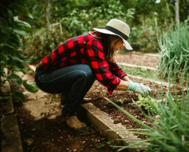 Community Garden: What’s the Point?