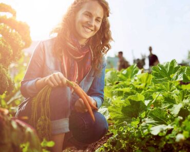 Community Gardening: Pros and Cons