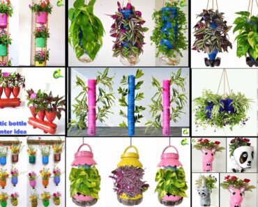 15 Most Amazing  Way to Reuse Plastic bottles/15 Ideas  Planters/Recycle bottles /ORGANIC GARDEN