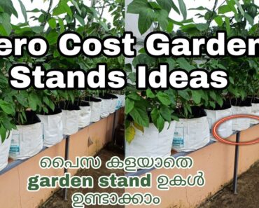 How to make vegetable garden at home | Garden stand ideas| Garden ideas|Vegetable garden