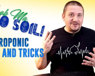 Hydroponic TIPS AND TRICKS! Grow your own food EASY and FUN. Look Ma, No Soil – Episode 4