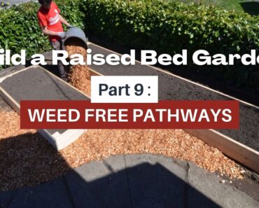 Building a raised bed vegetable garden: pathways