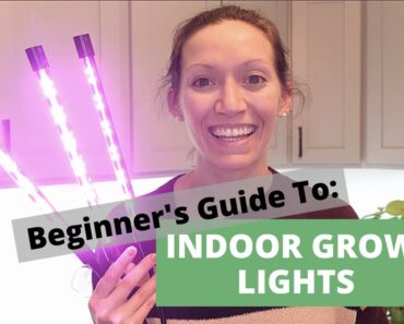 The BEST Grow Lights for Seedlings | Starting Seeds Indoors