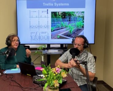 Podcast Episode 2: Vegetable garden planting, watering, mulching and pest control tips.