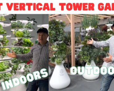 Best Vertical Hydroponic Tower Garden for Indoor or Outdoor Gardening