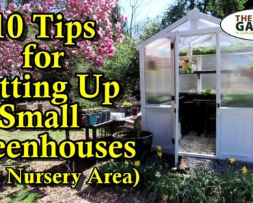 10 Tips for Setting Up Your Greenhouse & Nursery Area for Growing Garden Vegetables, Herbs & Flowers