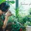 #29) 10 Easy Indoor Plants Care Tips to Keep Your Plants Healthy 🌿 Houseplant Success Made Simple