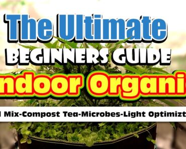 Ultimate Guide To Growing Organically Indoor :Soil Mix, Compost Tea, Microbes, Water Filtration…