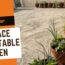 How to start a terrace vegetable garden | Grow vegetables on the terrace #Shorts