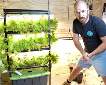 DIY Home Hydroponics: Indoor Vertical System Set Up & Timelapse