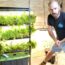 DIY Home Hydroponics: Indoor Vertical System Set Up & Timelapse