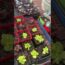 5-Week Seed Starting Update | #seedstarting #gardening #beginner #seeds #shorts #beginnergardener