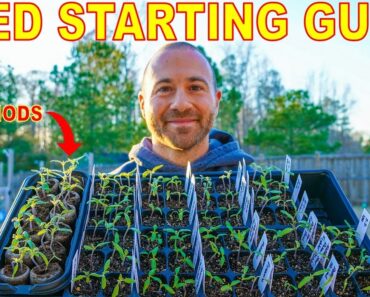 2 SEED STARTING Methods For Vegetable Gardening Success!