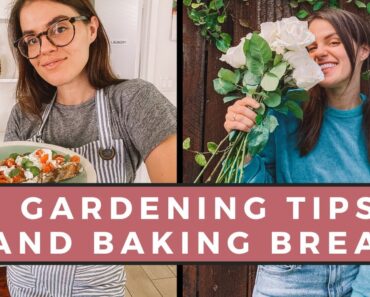 Vegetable Gardening Tips For Beginners  + How To Bake Bread