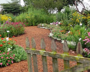 Garden Ideas and Tour of the Penn State Research Farm and Flower Trials // Northlawn Flower Farm