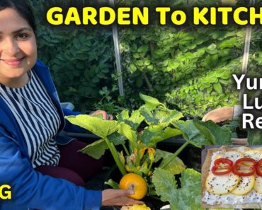 இந்த ஆண்டின் முதல் அறுவடை / GARDEN TO KITCHEN – Ep1 /  Vegetable Gardening ideas #gardeninlondon