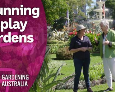 We explore the Melbourne International Flower and Garden Show | Discovery | Gardening Australia