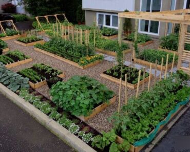 CREATIVE! 100+ VEGETABLES GARDEN DESIGN IDEAS | GUIDE FOR OUTDOOR BACKYARD VEGETABLE GARDENING TIPS