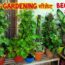 10 बेसिक gardening सीक्रेट beginners के लिए / 10 basic gardening secrets for beginners