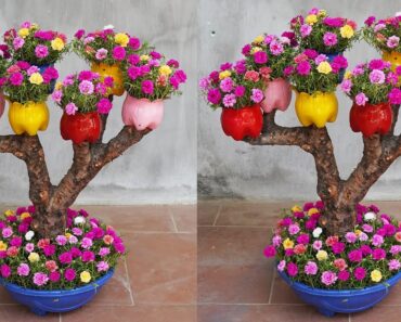 Creative Flower Garden With Old Trees, Great Creative Flower Garden Ideas