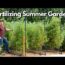 Fertilizing Summer Vegetable Gardens Organically