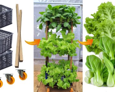 [No garden] Growing vegetables with recycled plastic baskets – Multi-storey vegetable tower