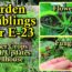 Summer Garden Crops, Vegetable Plant Updates, Complete Tour: Garden Ramblings, Tips & Tour E-23