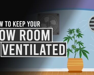 How to keep your Cannabis Grow-Room well Ventilated!