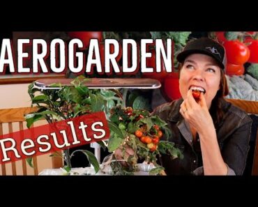 Aerogarden Harvest Slim Elite Review: Lessons Learned & Tomato Taste Test