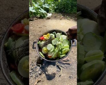 Outdoor Cooking Jamaica | Cooking What My Garden Gives Me #jamaica #offgrid #outdoorcooking #shorts