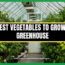 25 Best Vegetable to Grow in a Greenhouse | Greenhouse Vegetables | Greenhouse gardening