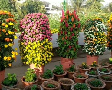 How To Make Flower Towers 🌸🌼🏵🍃🍂🍁 | Simple and easy method | Must watch idea for innovative gardening