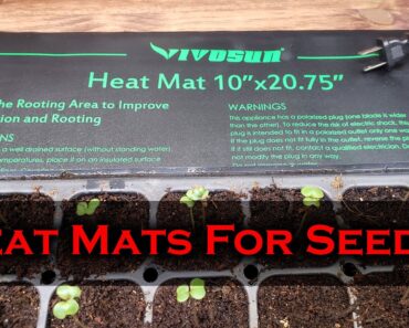 Seeding Heat Mats Explained For Beginners – Plus Vivosun Heat Mat Review