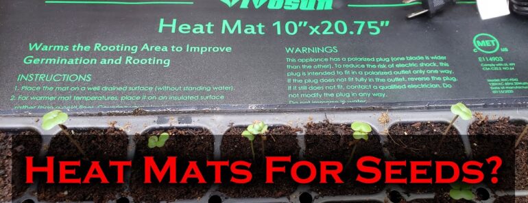 Seeding Heat Mats Explained For Beginners – Plus Vivosun Heat Mat Review