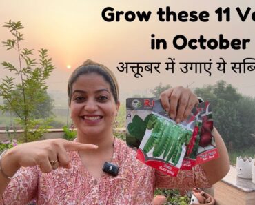 Grow these 11 Vegetables in October | अक्टूबर में ये सब्ज़ियाँ लगाएँ  #vegetablegarden